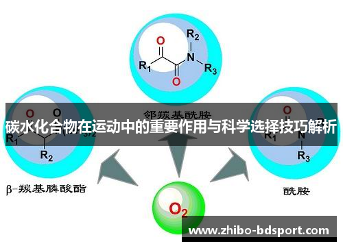 碳水化合物在运动中的重要作用与科学选择技巧解析